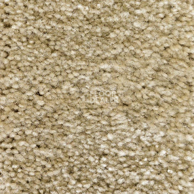 Ковролин AW Masquerade Gaudia 29 фото 1 | FLOORDEALER